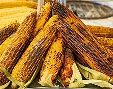 Jual Jagung Bakar Mentah Terdekat